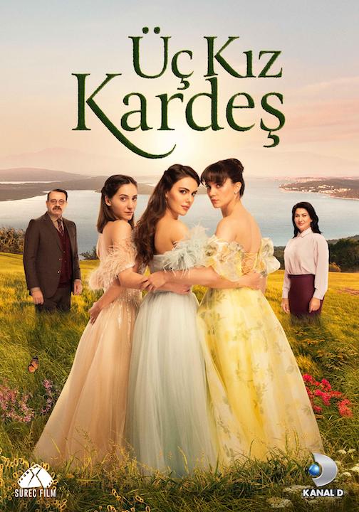 Dizi afişi
